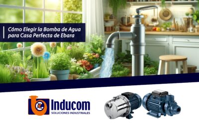 Cómo Elegir la Bomba de Agua para Casa Perfecta de Ebara  