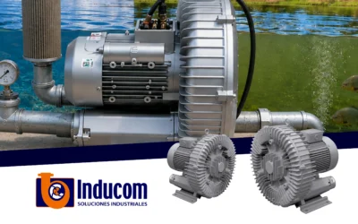 Innovación tecnológica en la piscicultura boliviana: oxigenación eficiente con blowers y sistemas de difusión